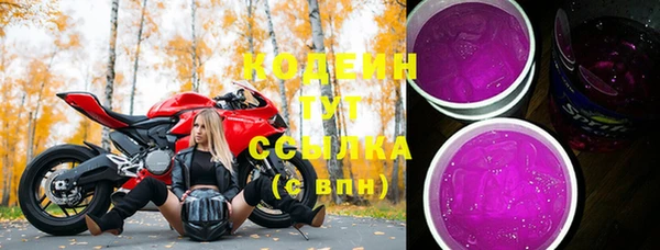 твердый Арсеньев