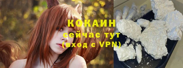 твердый Арсеньев